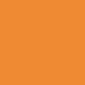 Orange Flavour Colour Photo