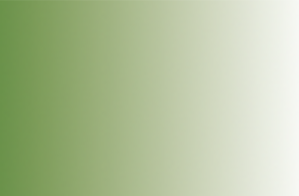 Apple Fresh Green